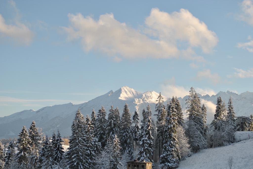 Mis Pokoje Goscinne Bukowina Tatrzanska Bagian luar foto